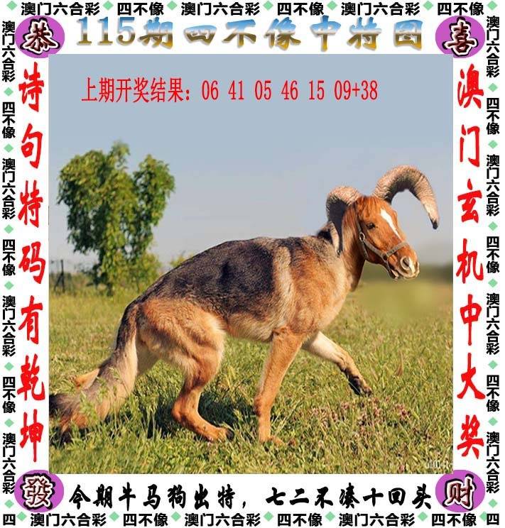 ͼƬŴ